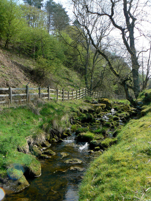 Wadshelf Brook Wadshelf Brook